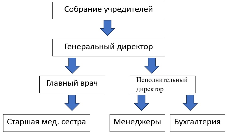 Структура компании